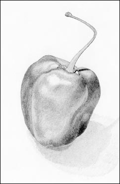 Peperoncino b/n